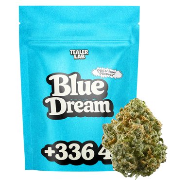 Blue Dream TH+